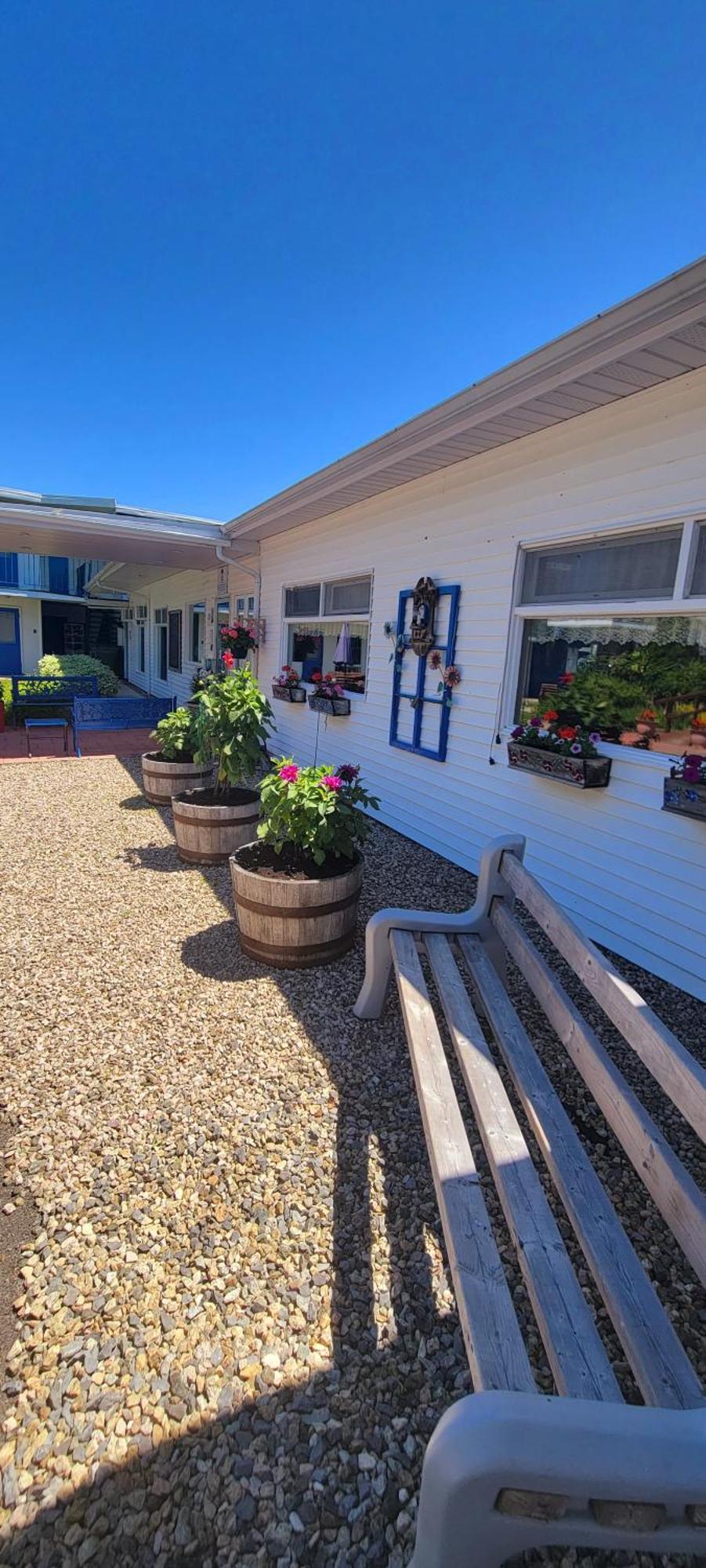 Hotel-Motel Les Voitures D'Eau Isle-aux-Coudres Bagian luar foto