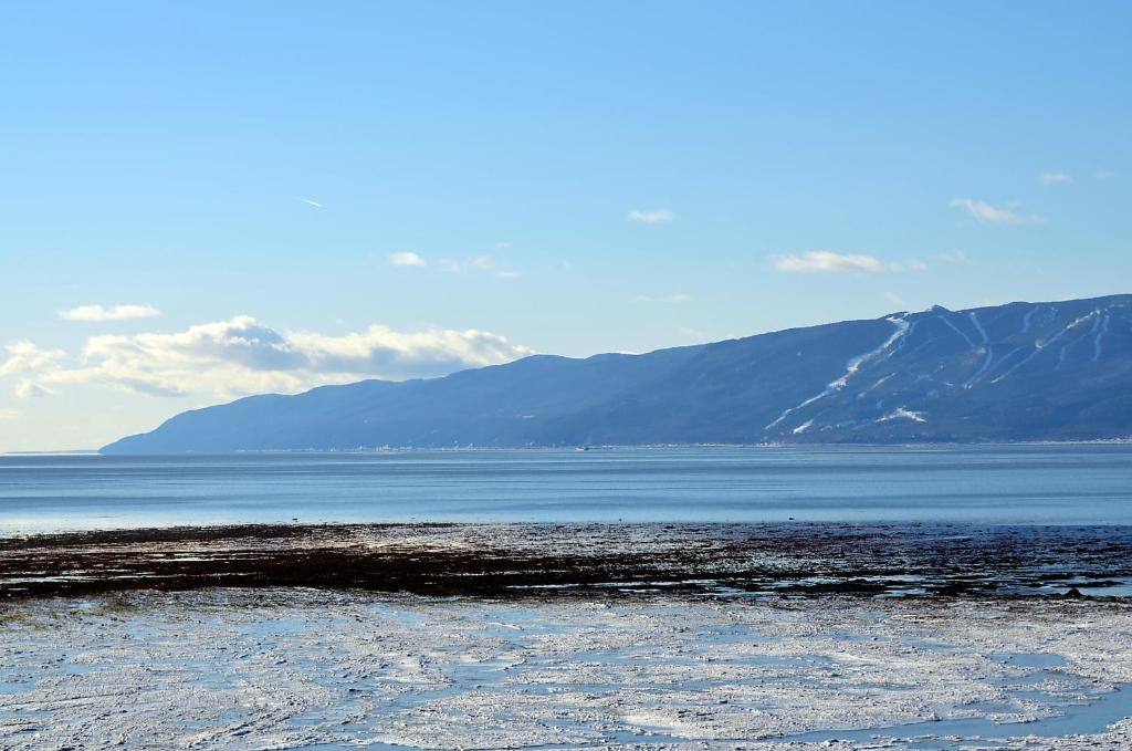 Hotel-Motel Les Voitures D'Eau Isle-aux-Coudres Bagian luar foto